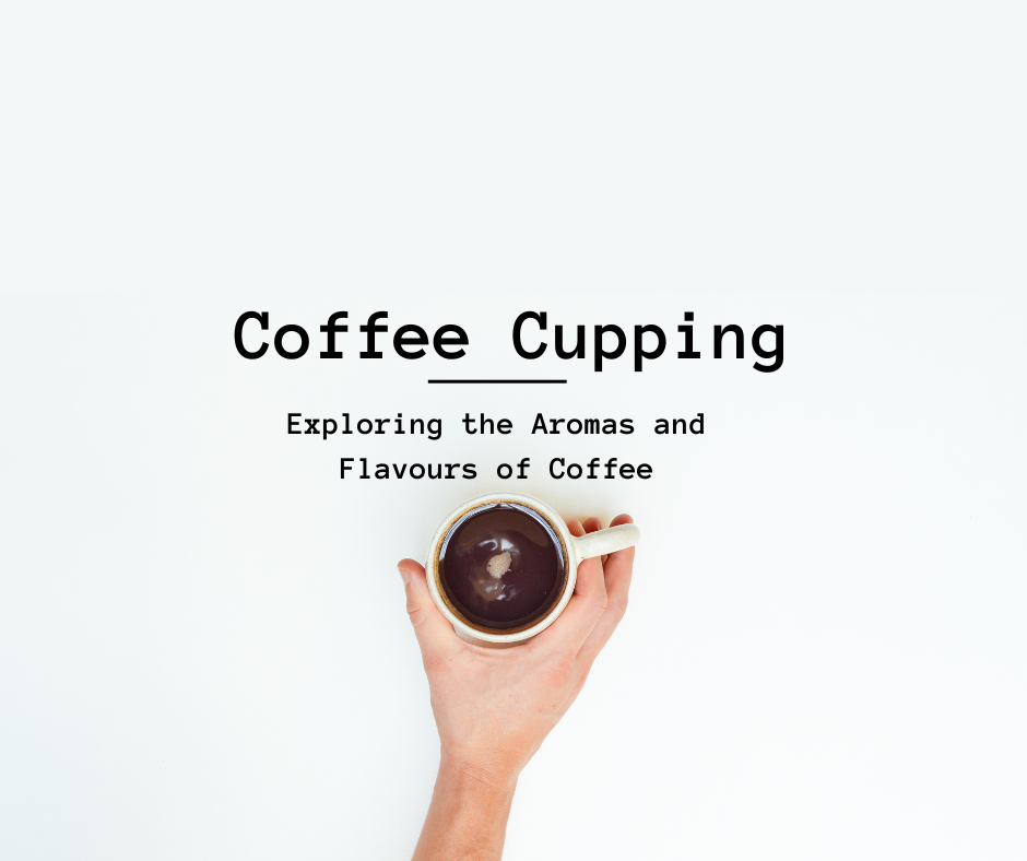 Coffee Cupping Exploring The Aromas And Flavours Of Coffee Cremahub coffee-cupping-exploring-the-aromas-and-flavours-of-coffee-cremahub