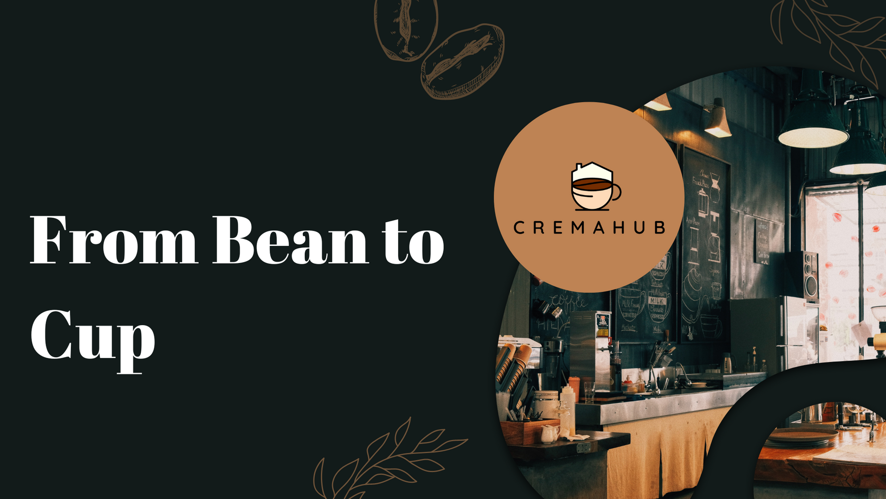 From Bean to Cup Blog Image