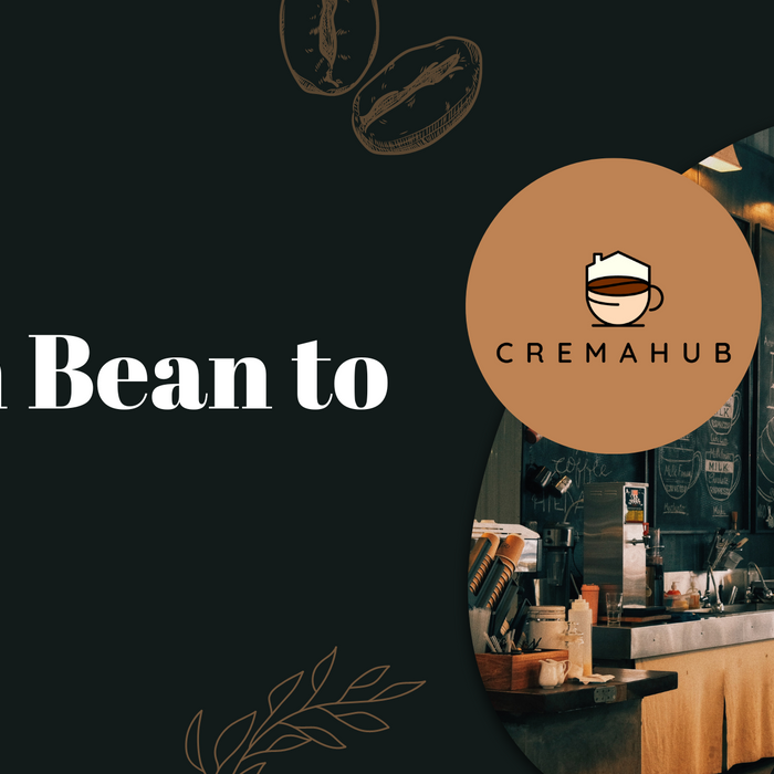 From Bean to Cup Blog Image