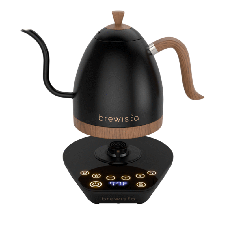 Brewista Artisan 1L Kettle Candy Orange